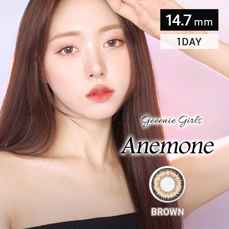 Anemone アネモネ